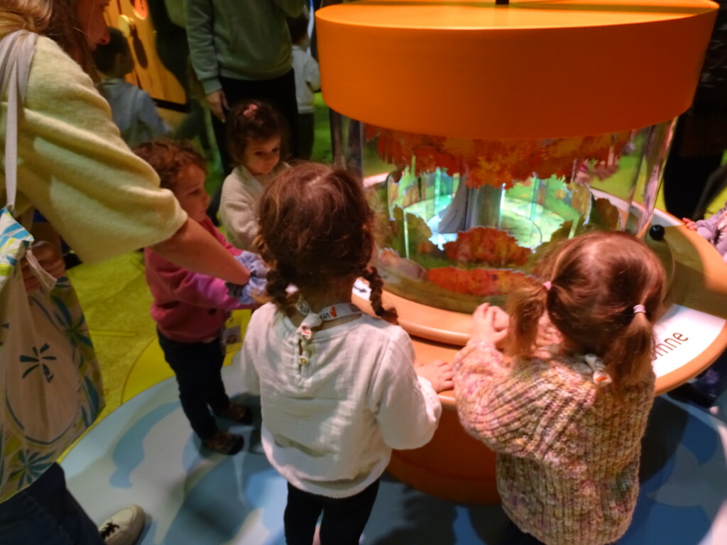 Les maternelles au “Musée de l’arbre”